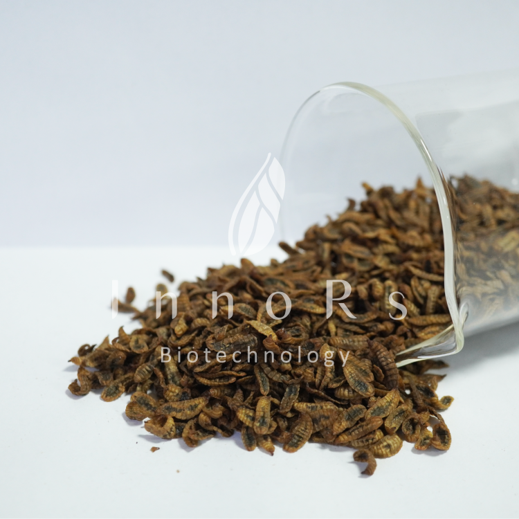 Air-dried Black Soldier Fly Larvae